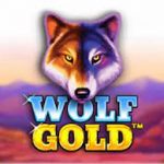Wolf-Gold-150x150